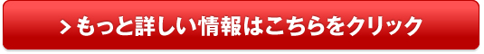 オンライン英会話【プライマリー】販売サイトへ